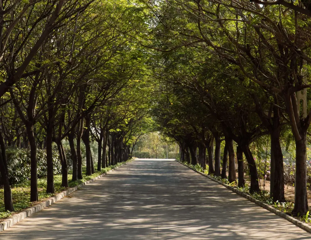 Safal Rethal Greens, Ready plots, Rethal, near Sanand, Ahmedabad